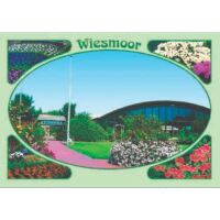 Wiesmoor - Ostfriesland Postkarten Ansichtskarten Motiv  031