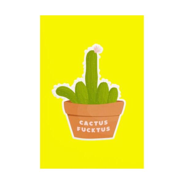 Allgemeine Wünsche unverpackte Grußkarte mit Briefumschlag  Kaktus Cactus Fucktus Mittelfinger HAPPY PAPER