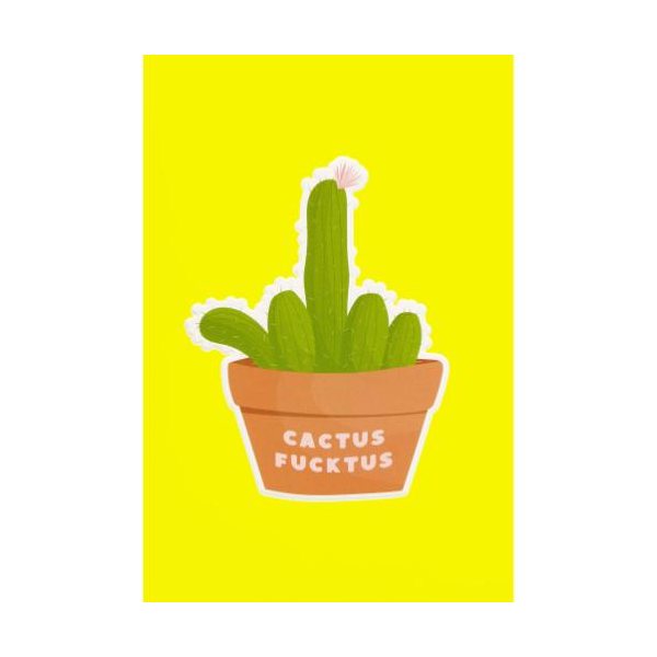 Allgemeine Wünsche unverpackte Grußkarte mit Briefumschlag  Kaktus Cactus Fucktus Mittelfinger HAPPY PAPER