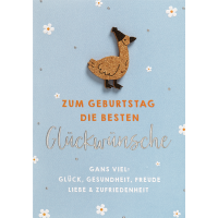 Geburtstag Moments Collection Glückwunschkarte mit...