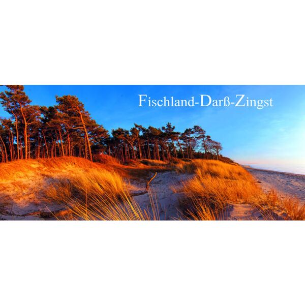 Fischland-Darß-Zingst Kühlschrankmagnete ALU Motive Dünen Meer Wald Ostsee