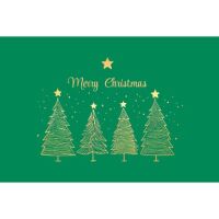 Weihnachten 5er-Beutel mit Umschläge Grün...