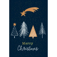 Weihnachten Handmade Weihnachtskarten mit Briefumschlag...