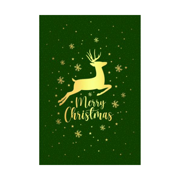 Weihnachtskarten mit Briefumschlag Rentier Schneeflocken Merry Christmas grün