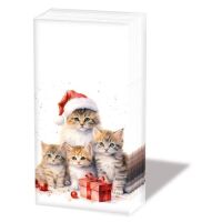 Weihnachten Taschentücher Kätzchen Geschenk...