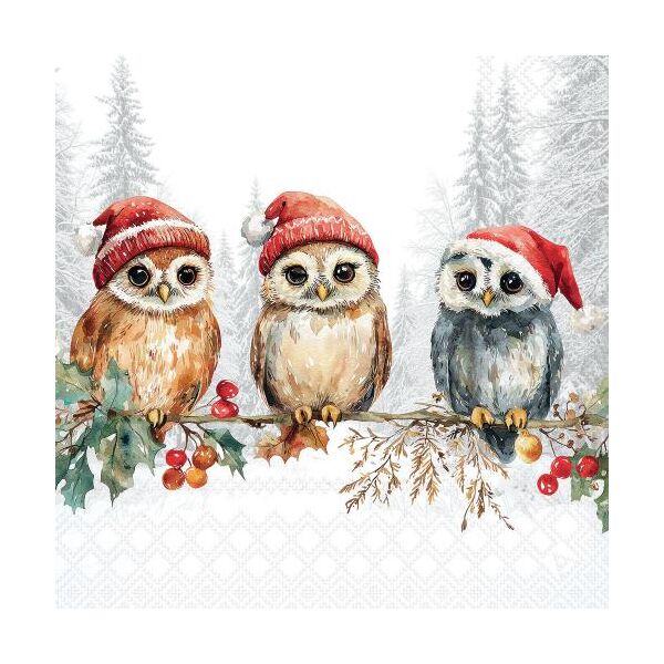 Weihnachten Servietten Cocktail 25x25 3-lagig 20 Stück Eulen auf Stechpalme Wise owls FSC Mix