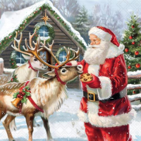 Weihnachten Servietten Cocktail 25x25 3-lagig 20...
