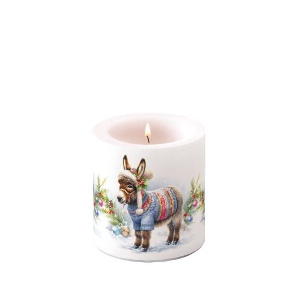 Weihnachten Kerze klein Ø 7,5 x 9 cm  Weihnachtsesel Wooly donkey