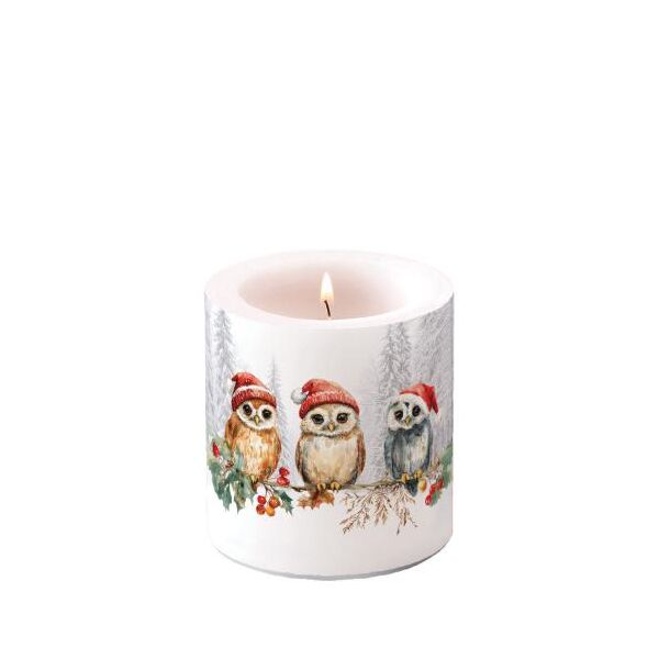 Weihnachten Kerze klein Ø 7,5 x 9 cm  Eulen auf Stechpalme Wise owls