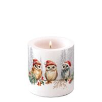 Weihnachten Kerze klein Ø 7,5 x 9 cm  Eulen auf...