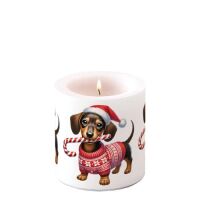 Weihnachten Kerze klein Ø 7,5 x 9 cm  Dackel mit...