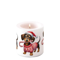 Weihnachten Kerze klein Ø 7,5 x 9 cm  Dackel mit...
