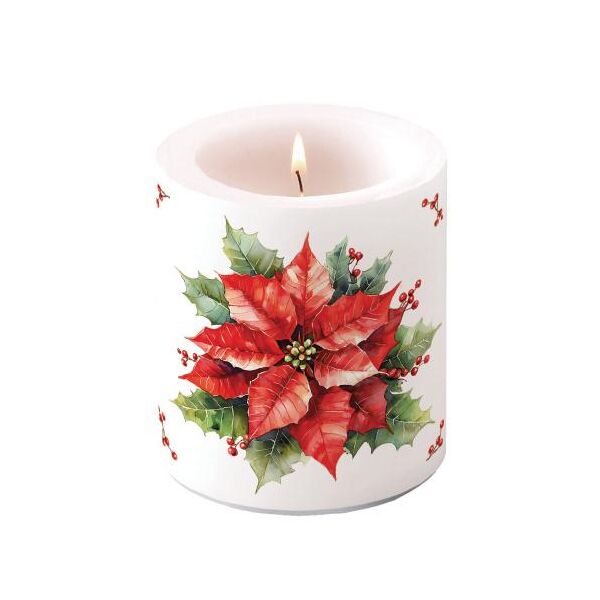 Weihnachten Kerze medium Ø 10 x 10 cm Weihnachtsstern  Festive poinsettia white