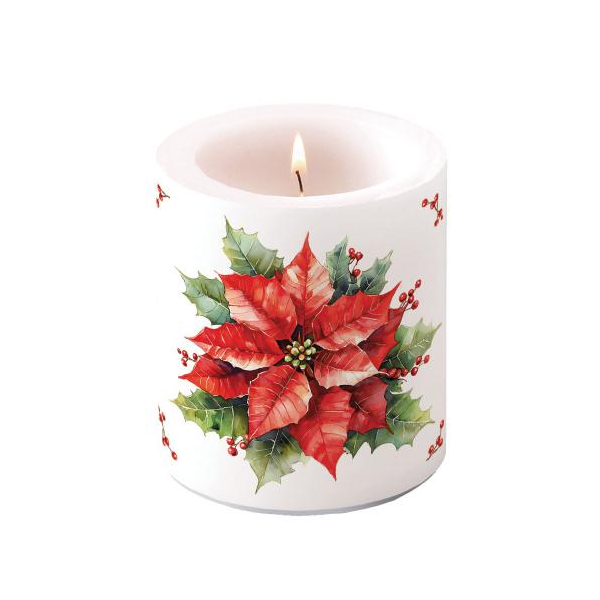 Weihnachten Kerze medium Ø 10 x 10 cm Weihnachtsstern  Festive poinsettia white