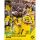 Kalender 2027 BVB Borussia Dortmund Posterkalender 34 X 44