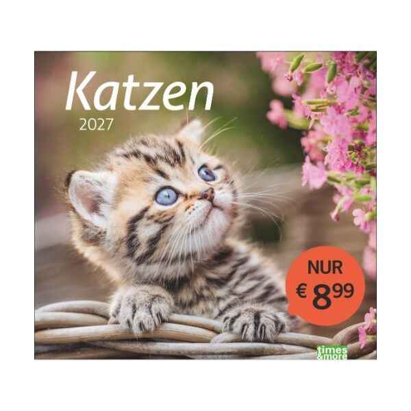 Kalender 2027 tm Katzen Bildkalender 30 X 27