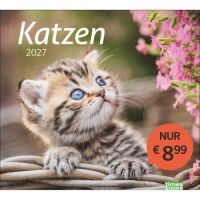 Kalender 2027 tm Katzen Bildkalender 30 X 27