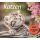 Kalender 2027 tm Katzen Bildkalender 30 X 27