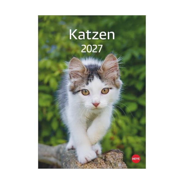 Kalender 2027 Katzen 23,5 X 33,5