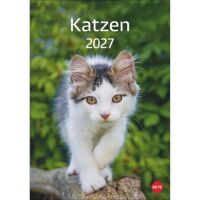 Kalender 2027 Katzen 23,5 X 33,5