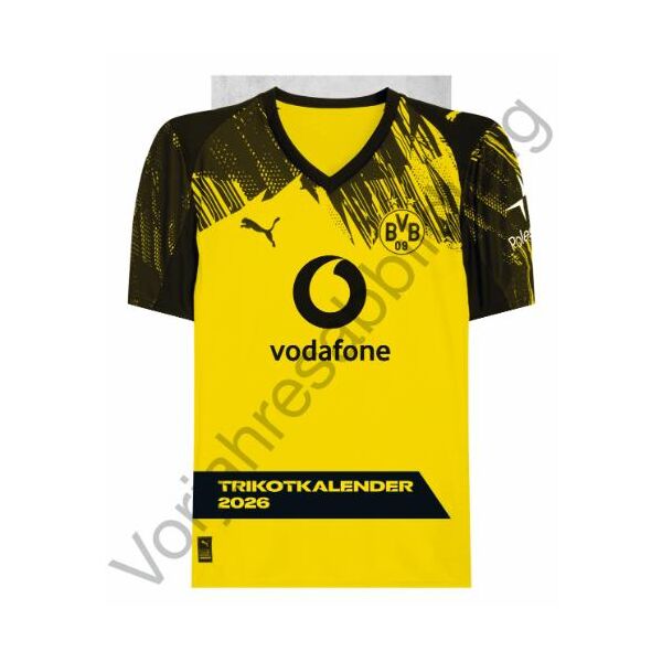 Kalender 2027 BVB Borussia Dortmund Trikotkalender 34 X 42