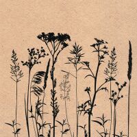 A-2026 Servietten Format: 33 x 33 cm 3-lagig 20...