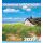 Ahrenshoop Wandkalender 2027 mit Terminplaner Kalender Ostseebad