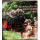 Mecklenburgische Bäderbahn Molly Kühlungsborn Kühlschrankmagnet ALU Ostseebad nostalgisches Motiv