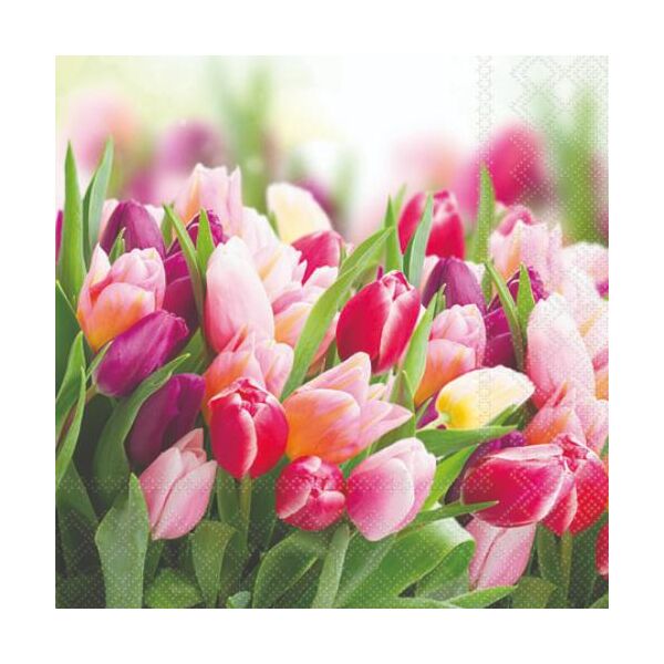 Cocktail Servietten 25 x 25 cm 3-lagig 20 Servietten Glorious Tulips FSC Mix Tulpen