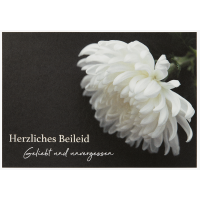 Trauer Kondolenz Herzliches Beileid Geliebt und...
