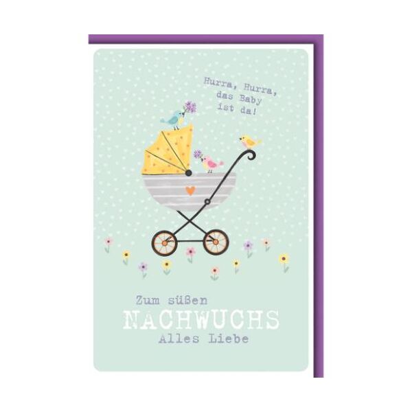 Geburt Baby Glückwunschkarte mit Umschlag Vögel auf Kinderwagen Zum Nachwuchs alles Liebe