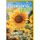 Namenstag Grußkarte mit Umschlag Sonnenblume 365 Tage voller Sonnenschein