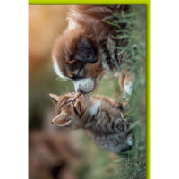 Ohne Text Grußkarte mit Umschlag Hund und Katze