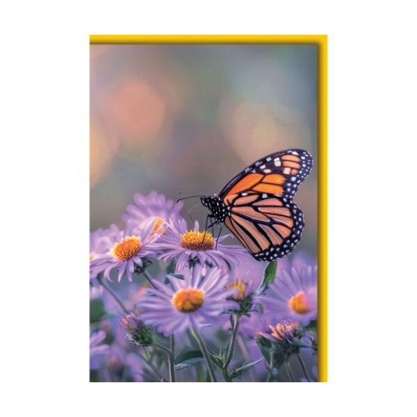 Ohne Text Grußkarte mit Umschlag Schmetterling auf lila Blüte