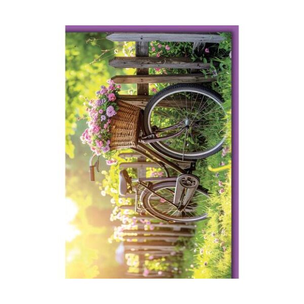 Ohne Text Grußkarte mit Umschlag Fahrrad mit Blumenkorb am Zaun