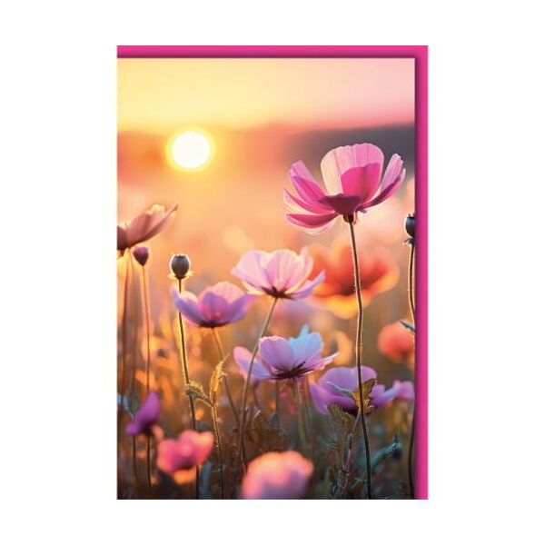 Ohne Text Grußkarte mit Umschlag Mohnblumen im Sonnenuntergang