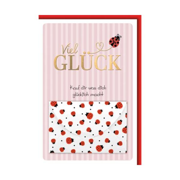 Geldkarte Grußkarte mit Umschlag Viel Glück Kauf dir was dich glücklich macht Marienkäfer
