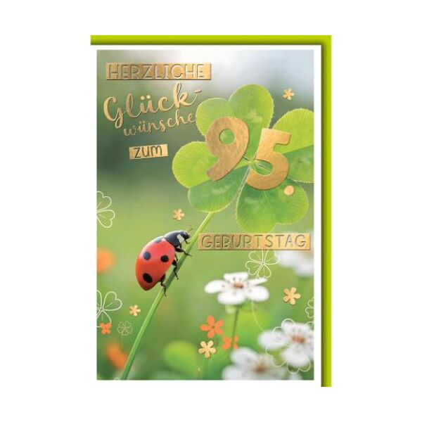 95. Geburtstag Glückwunschkarte mit Umschlag Marienkäfer am Kleeblatt Herzlichen Glückwunsch zum 95. Geburtstag