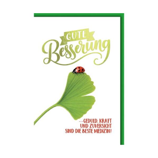 Genesung Glückwunschkarte mit Umschlag Ginkoblatt mit Marienkäfer Geduld, Kraft und Zuversicht sind die beste Medizin!