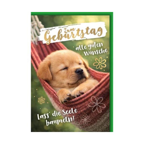 Geburtstag Glückwunschkarte mit Umschlag Welpe in Hängematte Lass die Seele baumeln! Zum Geburtstag alle guten Wünsche