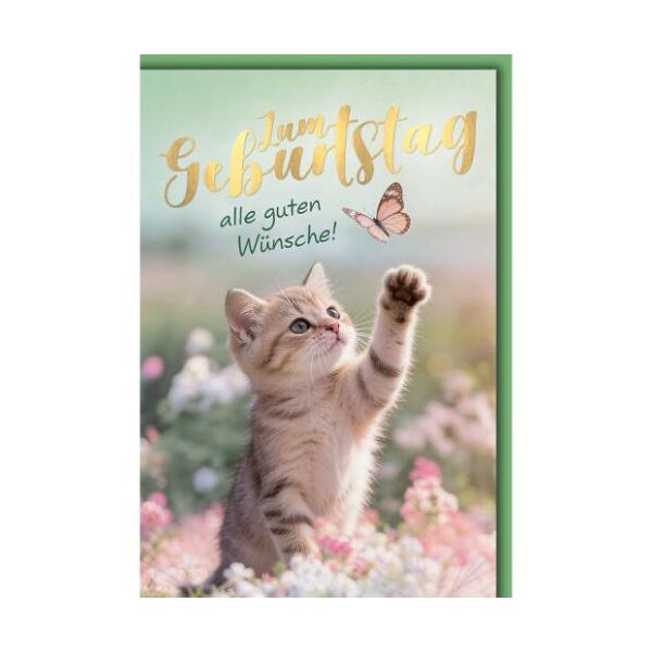Geburtstag Glückwunschkarte mit Umschlag Katze spielt mit Schmetterling alle guten Wünsche!