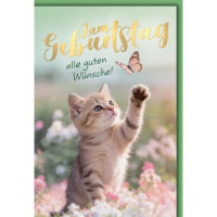 Geburtstag Glückwunschkarte mit Umschlag Katze...