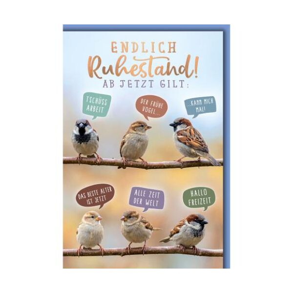 Ruhestand Glückwunschkarte mit Umschlag Spatzen mit lustigen Sprüchen Endlich Ruhestand!