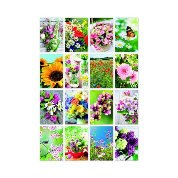 100-er Kasten Ohne Text - Sommer 100 Glückwunschkarten mit Umschlag Blanko, Fotokarten Sommer Blumen, 16 verschiedene Motive sortiert UVP pro Karte 1,50€