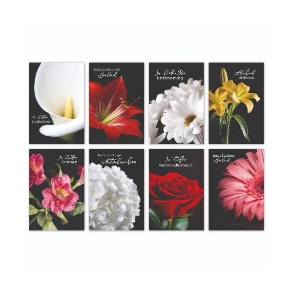100-er Kasten Trauer Beileid Kondolenz 100 Trauerkarten mit Umschlag Trauer Blumen, 8 verschiedene Motive sortiert, mit Trauerumschlägen UVP pro Karte 1,50€