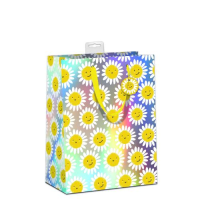 6 Geschenktaschen A4 Format Large UVP € 23,70 pro...