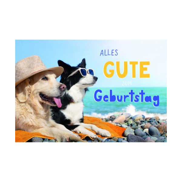 Geburtstag Glückwunschkarte mit Umschlag Hunde genießen die Sonne Alles Gute zum Geburtstag
