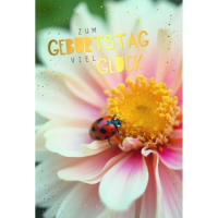Geburtstag Glückwunschkarte mit Umschlag...
