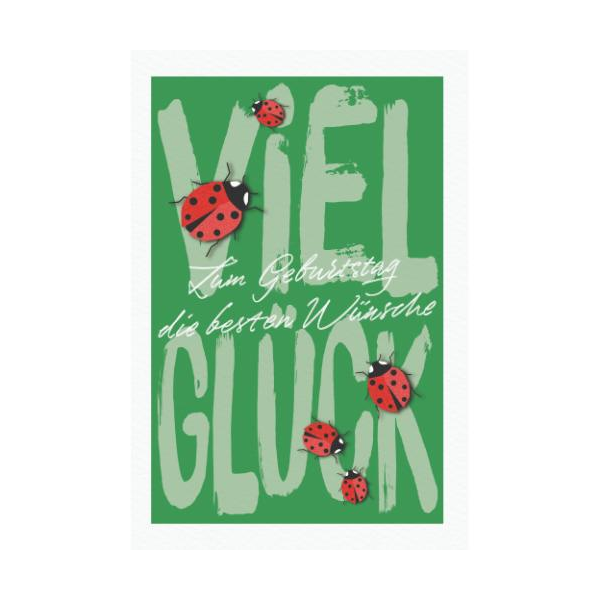 Geburtstag Glückwunschkarte mit Umschlag Marienkäfer, Viel Glück zum Geburtstag die besten Wünsche