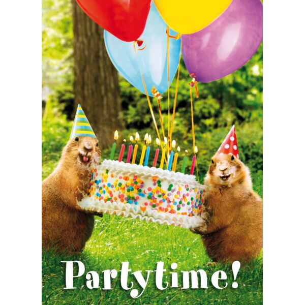 Einladung 5 Einladungen mit 5 Umschlägen Biber mit Torte Partytime!